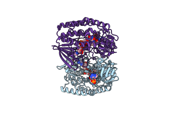 7D4N image