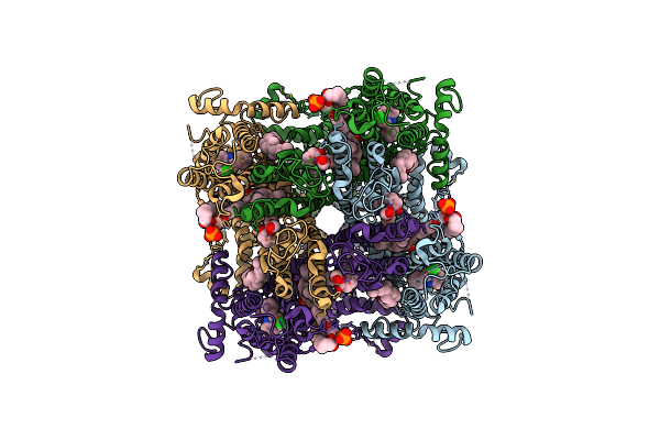 7D4P image