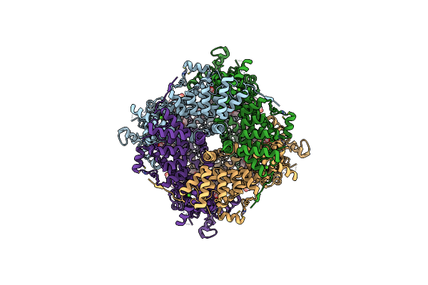7D4Q image
