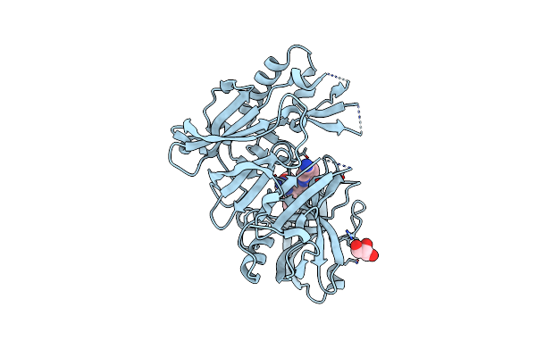7D5A image