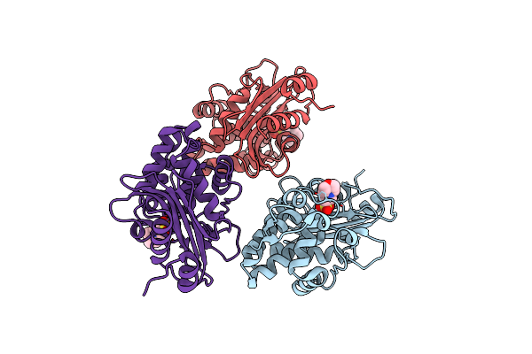 7D5J image