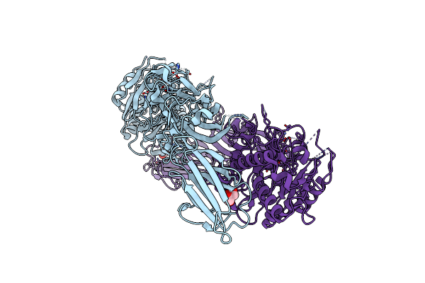 7D5R image