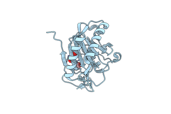 7D5Y image