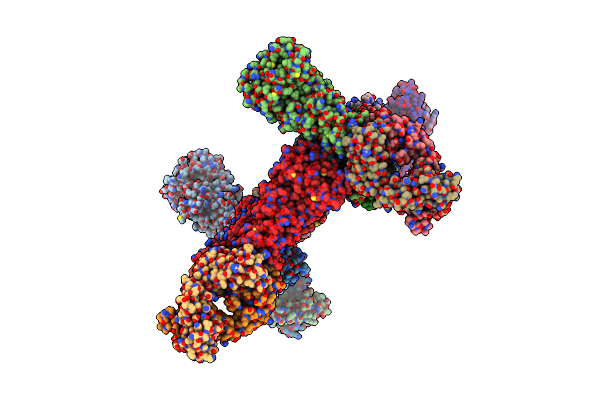 7D5Z image