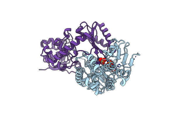 7D62 image