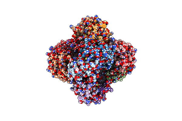 7D66 image