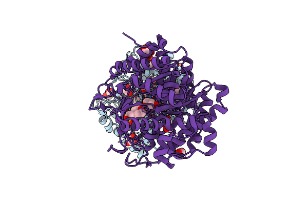 7D6A image