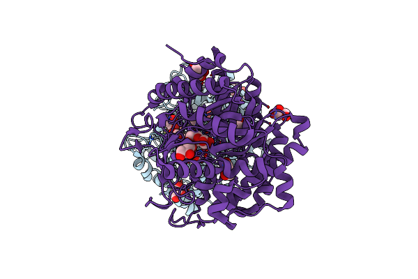 7D6B image