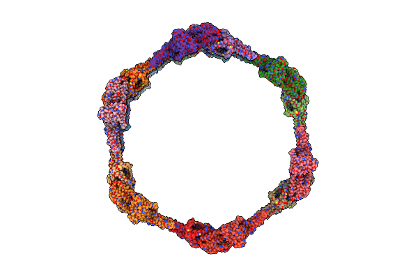 7D6D image