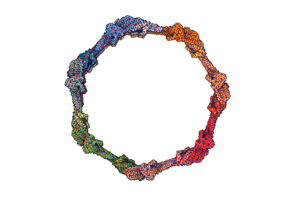 7D6E image