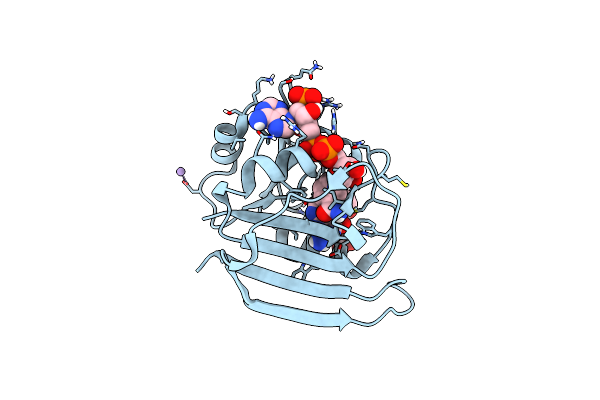 7D6G image