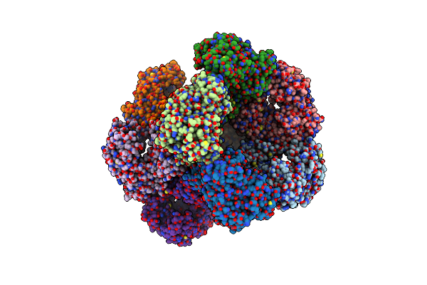 7D6N image
