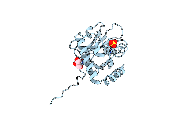 7D6P image