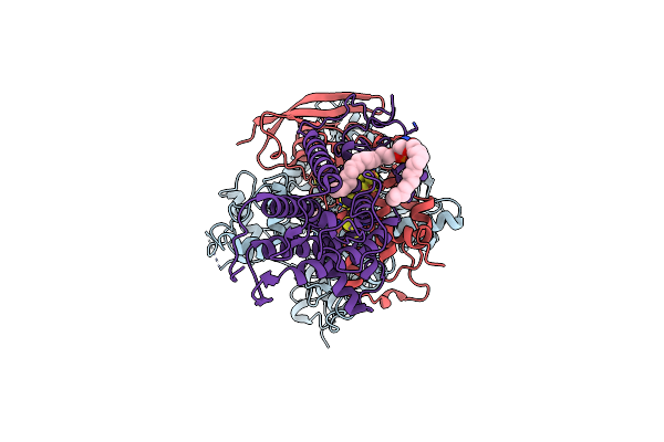 7D6X image