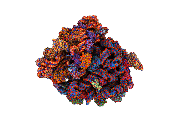 7D6Z image