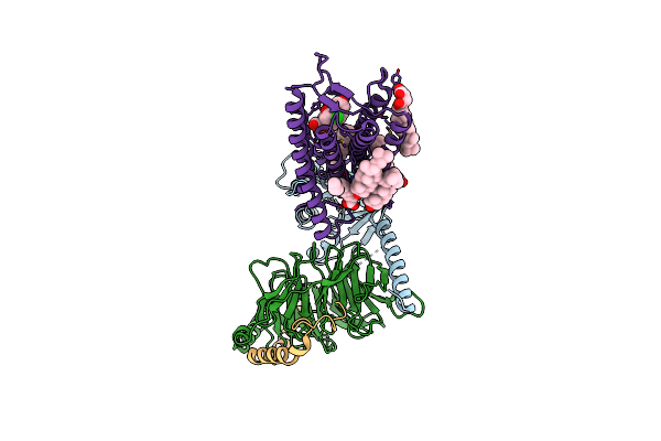 7D76 image