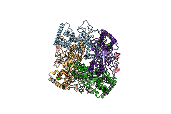 7D7E image