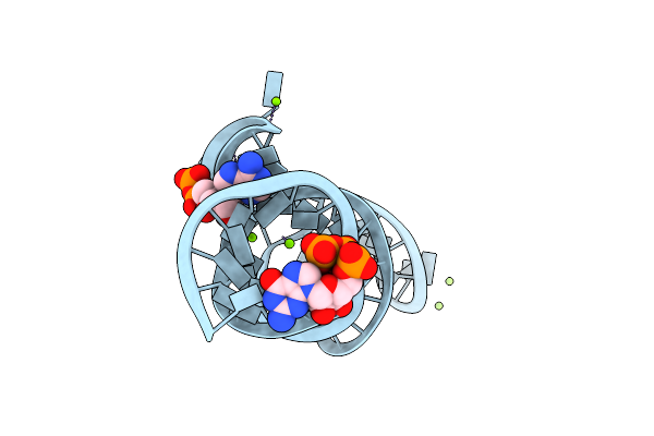 7D7X image