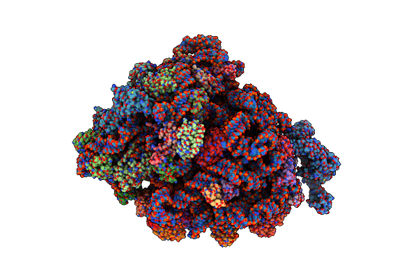 7D80 image