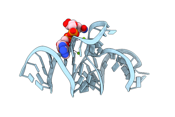 7D81 image