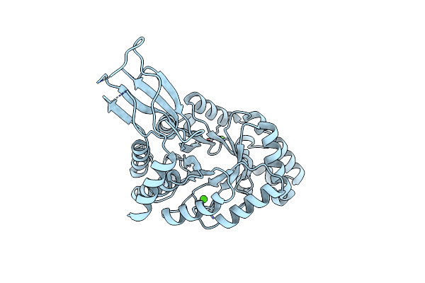 7D88 image