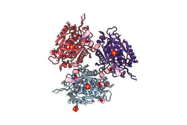 7D8E image