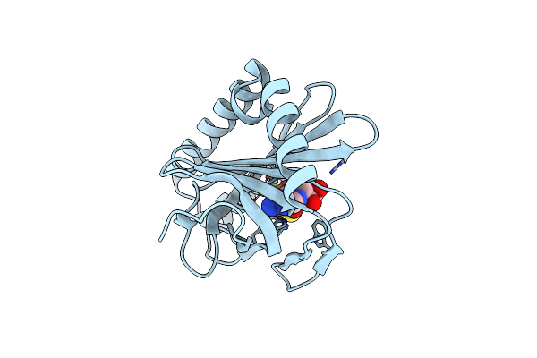 7D8I image