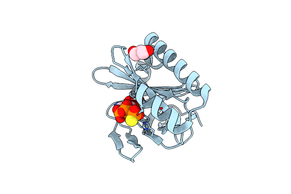 7D8L image