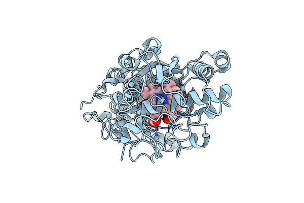 7D8M image