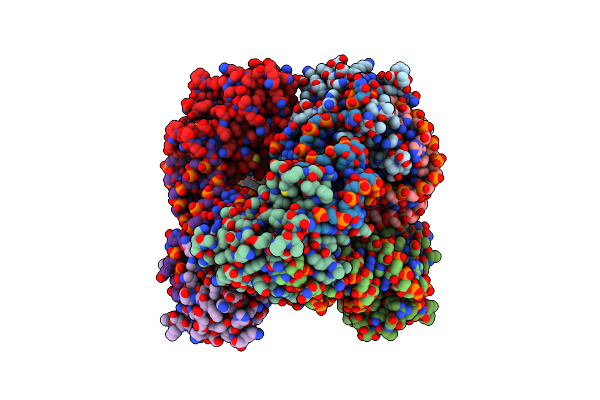 7D8O image