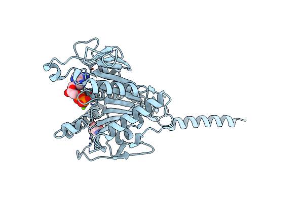 7D8V image