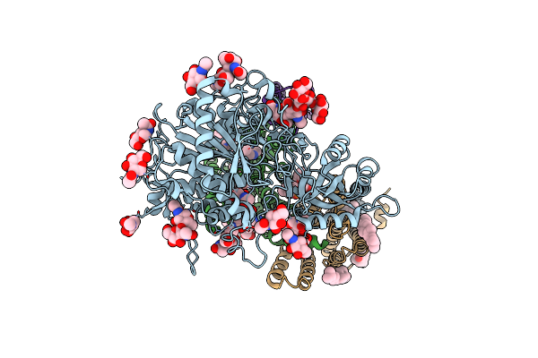 7D8X image