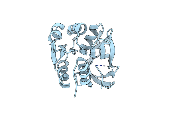 7D96 image