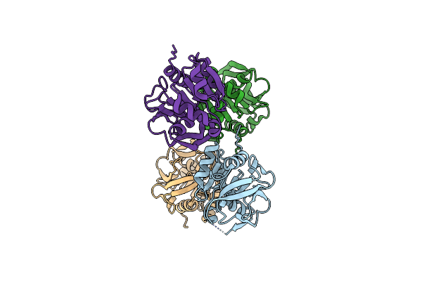7D97 image