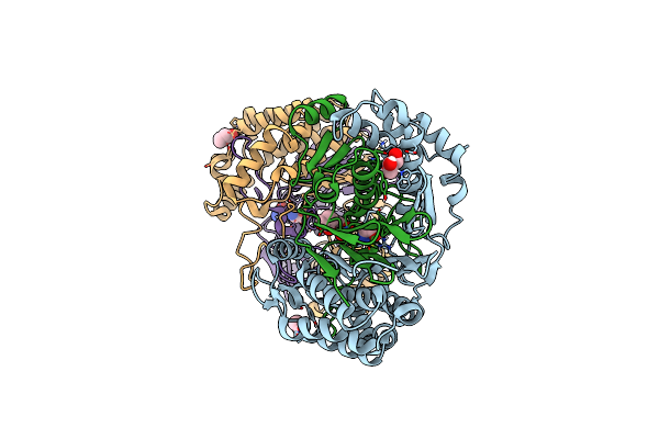 7D9X image
