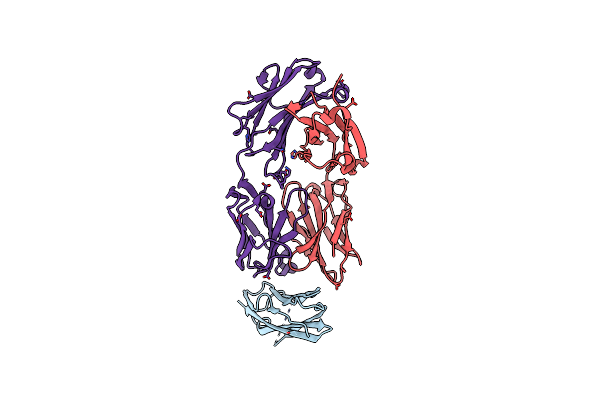 7DAA image