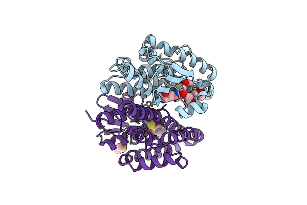 7DB1 image