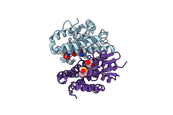 7DB2 image