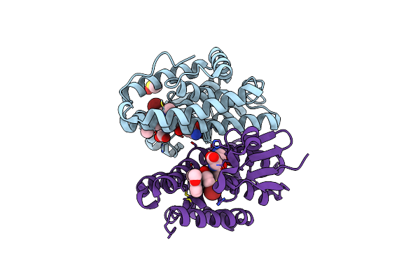 7DB3 image