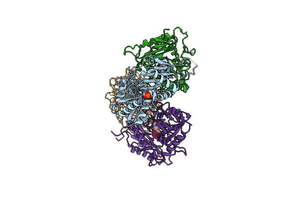 7DBE image