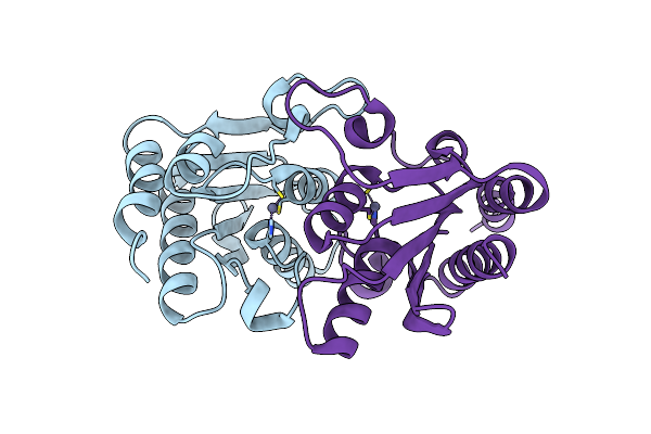 7DBF image
