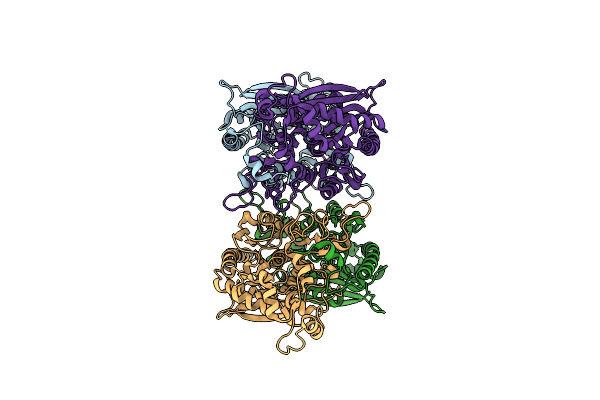 7DBI image