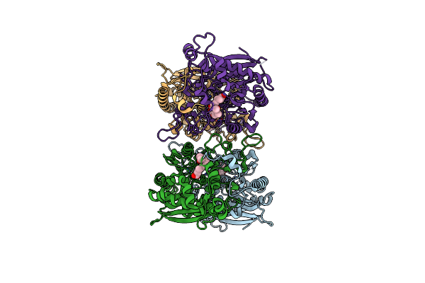 7DBL image