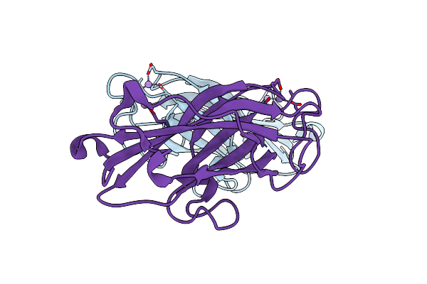 7DBT image