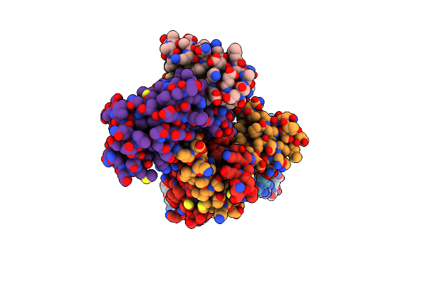 7DCD image