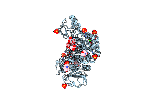 7DCG image