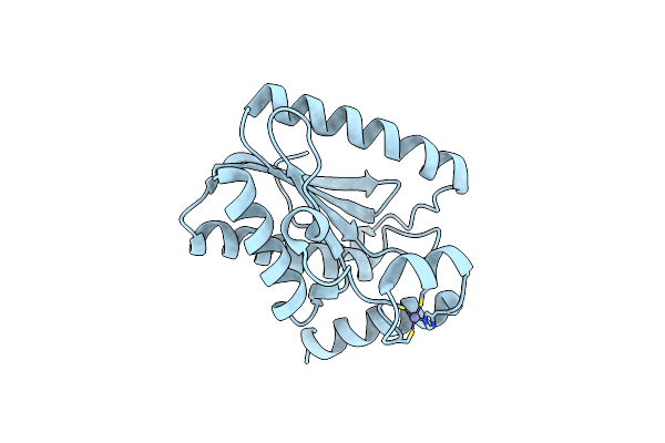 7DCM image