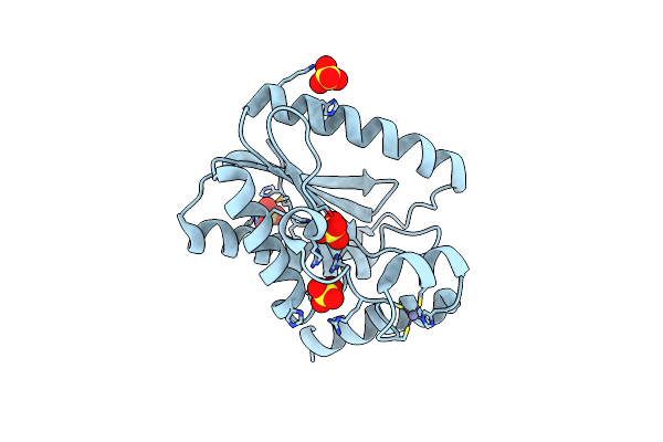 7DCN image
