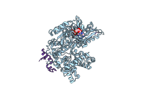 7DCP image
