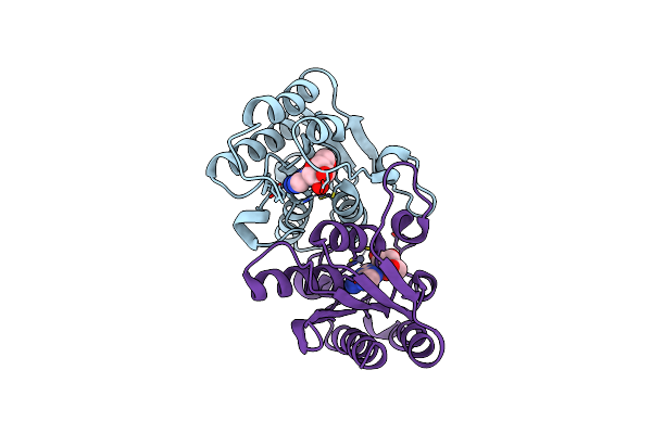 7DCW image